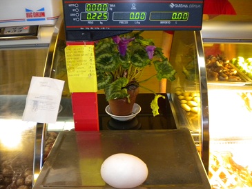 Uovo di 225 grammi